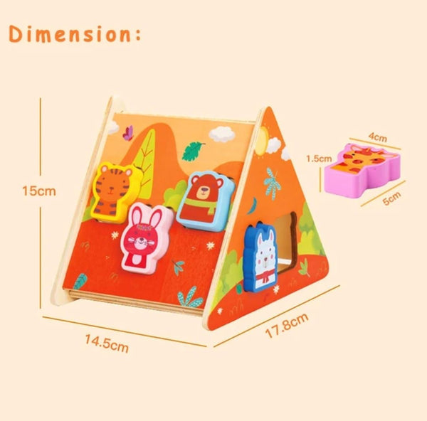 Wooden Matching Activity Boxes