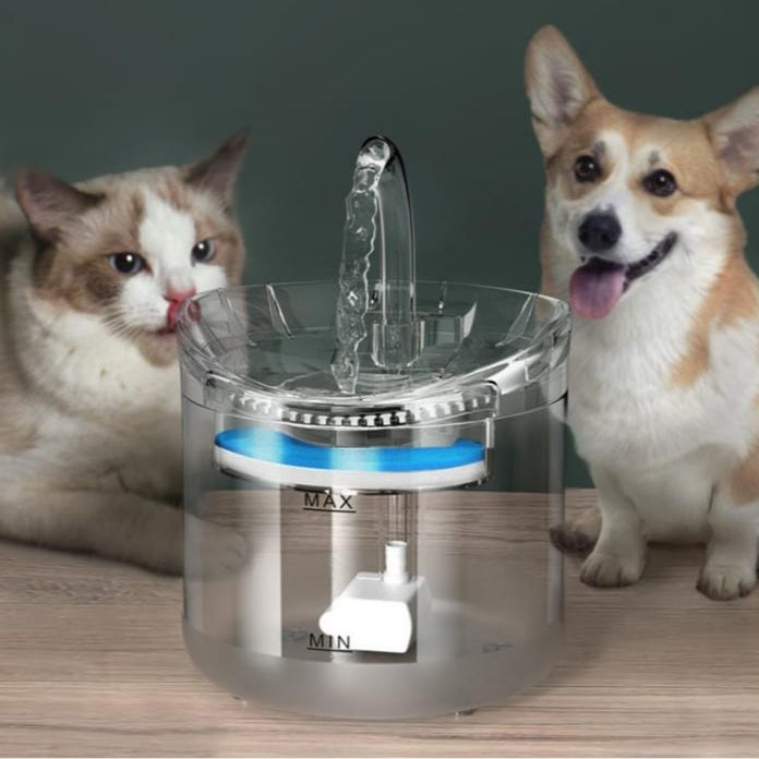 Transparent Pet Water Fountain