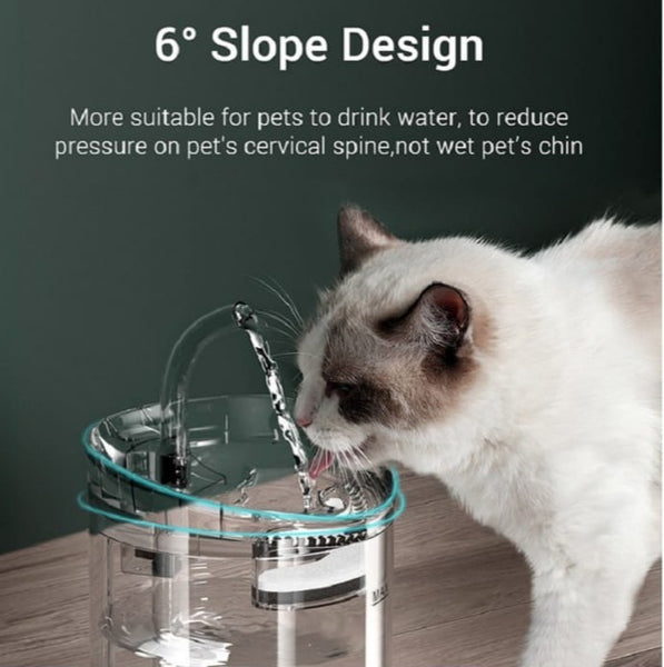 Transparent Pet Water Fountain
