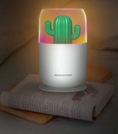 Cactus Humidifier