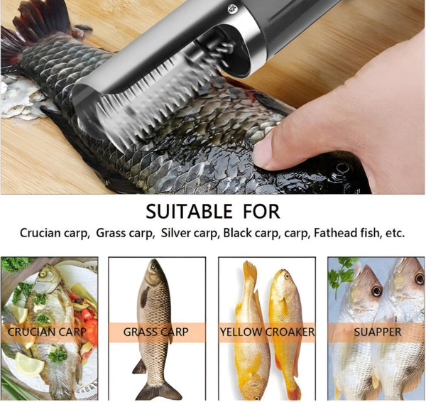 Automatic Fish Scale Scraper