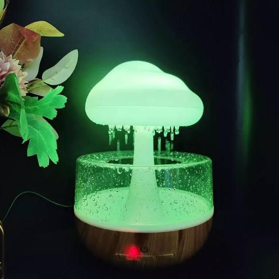 Rain Cloud Humidifier – Elevation