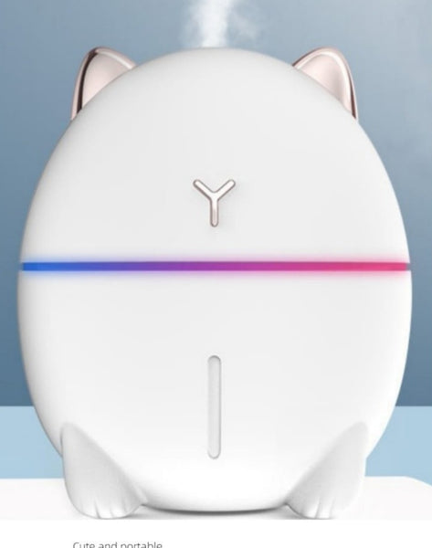Lovely Mini Humidifier
