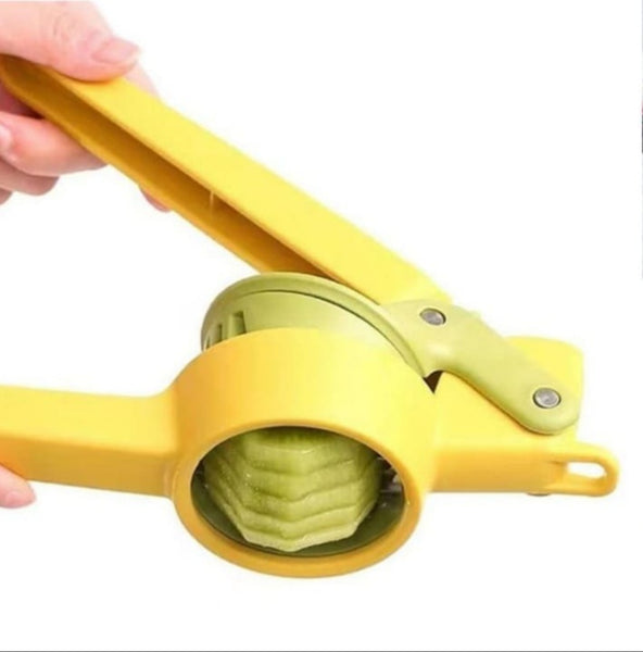 Soft Food Slicer Machine