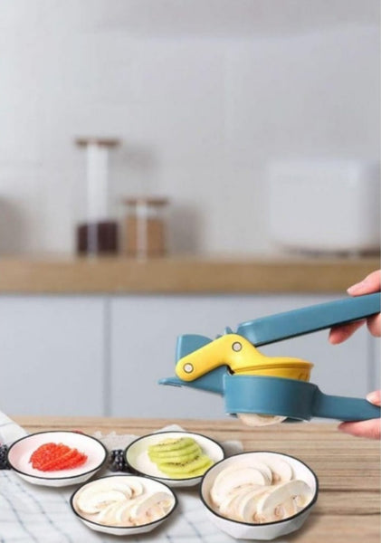 Soft Food Slicer Machine
