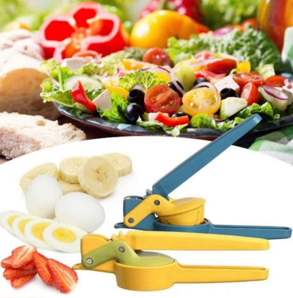 Soft Food Slicer Machine