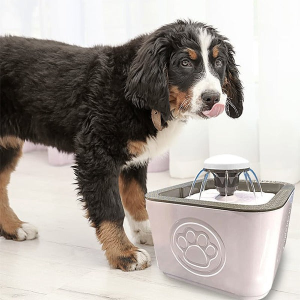 Pet Water Fountain