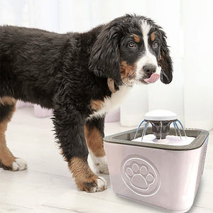 Pet Water Fountain