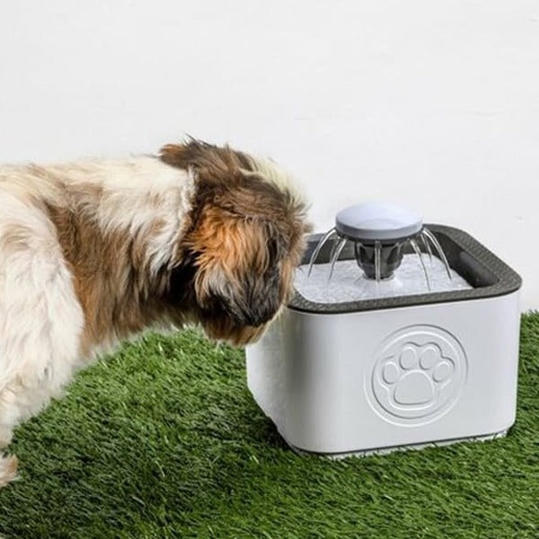 Pet Water Fountain