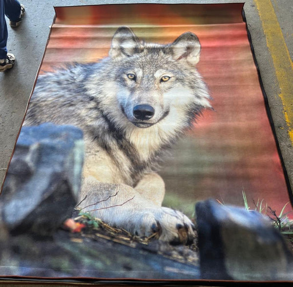 3D Carpets - Wildlife Theme