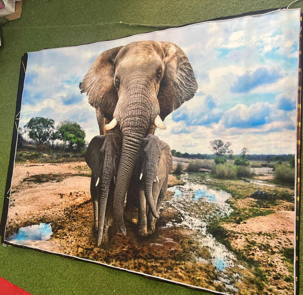 3D Carpets - Wildlife Theme