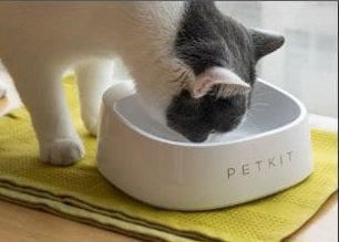 Pet Scale Bowl