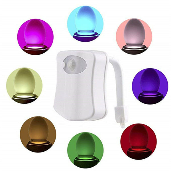 LED Toilet Light