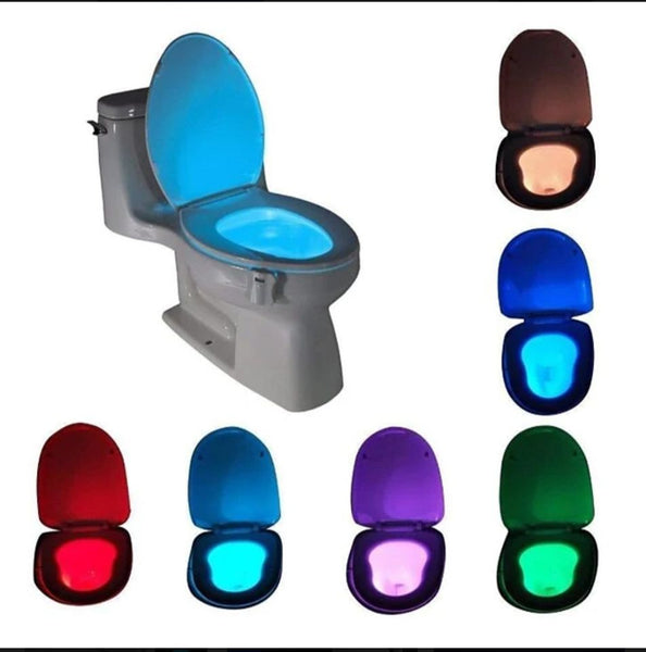 LED Toilet Light